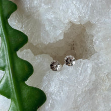 Load image into Gallery viewer, Desert Flower Studs