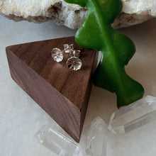 Load image into Gallery viewer, Desert Flower Studs