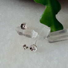 Load image into Gallery viewer, Desert Flower Studs
