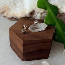 Load image into Gallery viewer, Berry Studs
