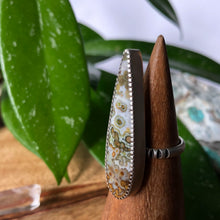 Load image into Gallery viewer, Rainforest Jasper Talon
